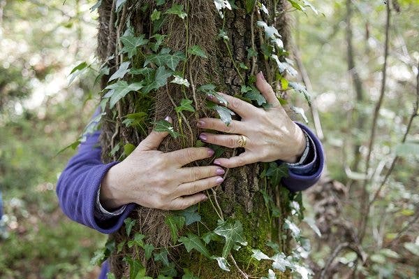 Cómo tu conexión con la naturaleza afecta tu salud